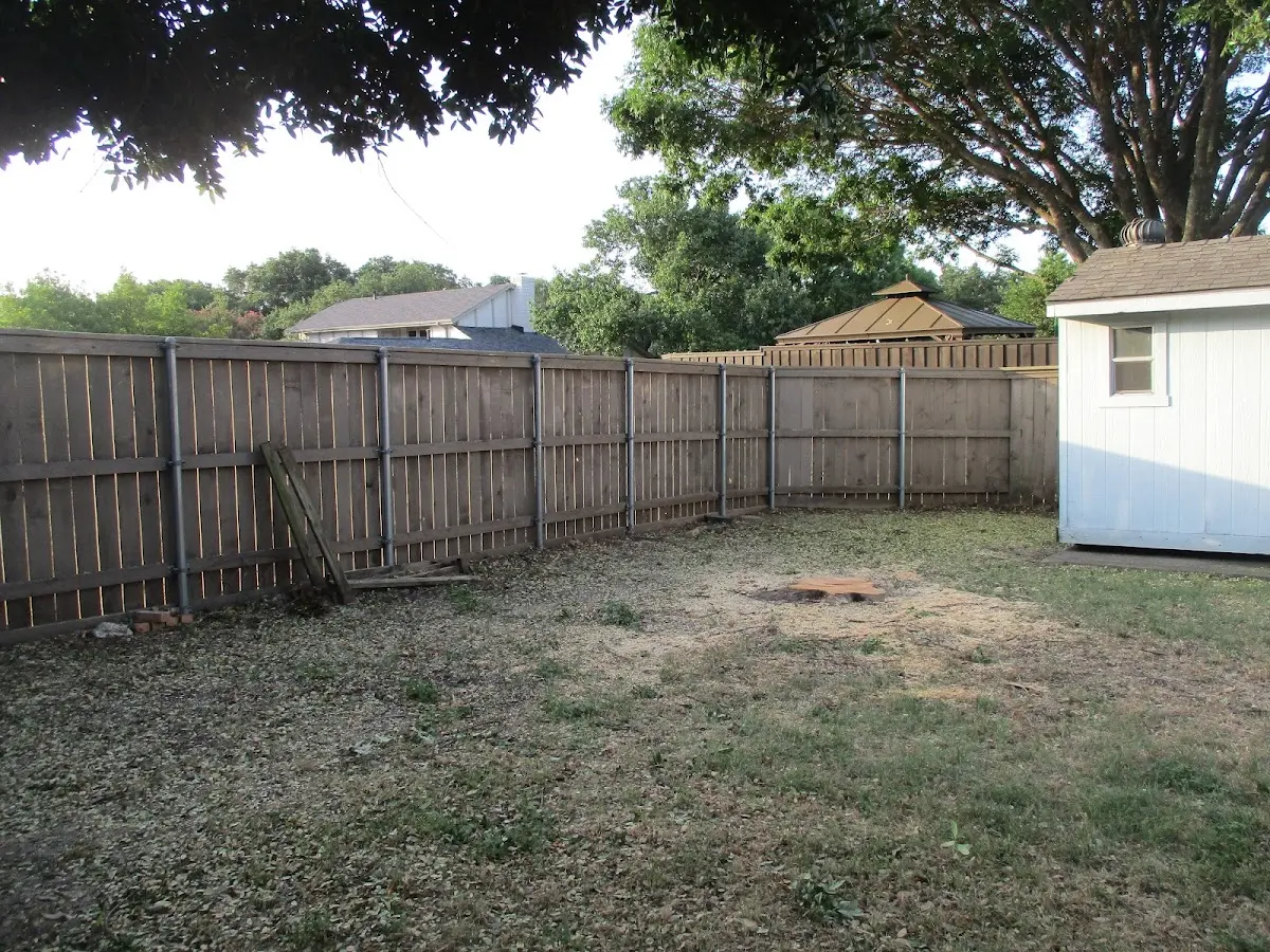 Cleared yard after professional tree removal in South Point
