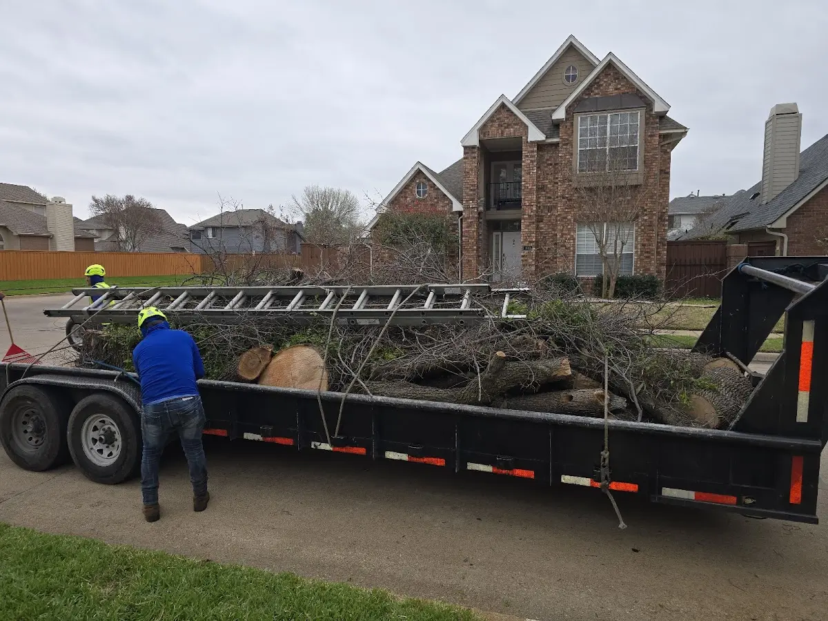 Expert Tree Pest Control with proper safety equipment in South Point